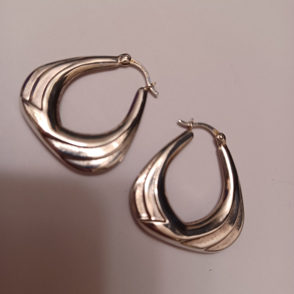 Elegant Silver Hoop Earrings